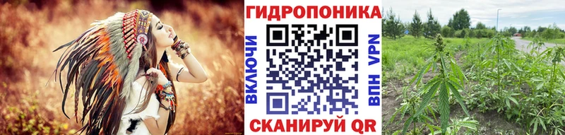 Экстази Злынка