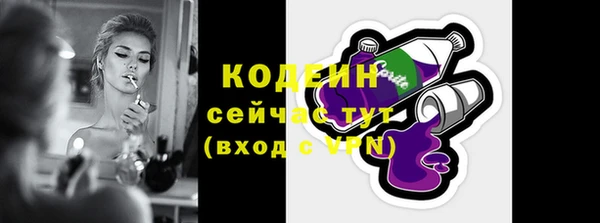 эйфоретик Вяземский