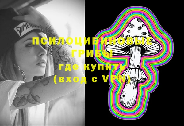 apvp Володарск