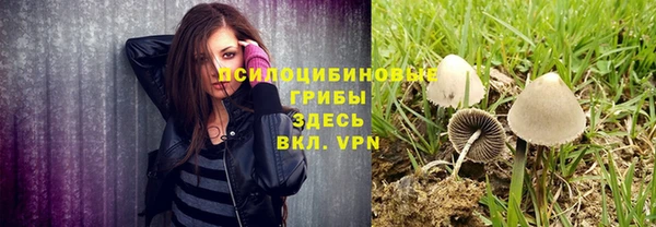 эйфоретик Вяземский