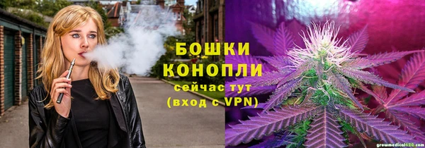 эйфоретик Вяземский