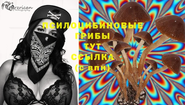 эйфоретик Вяземский