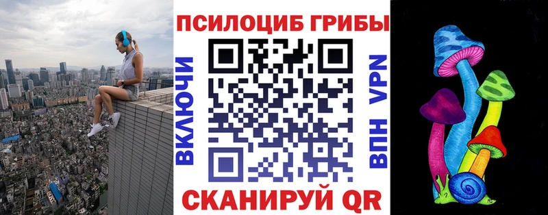Псилоцибиновые грибы Magic Shrooms  Купить закладки  Злынка 